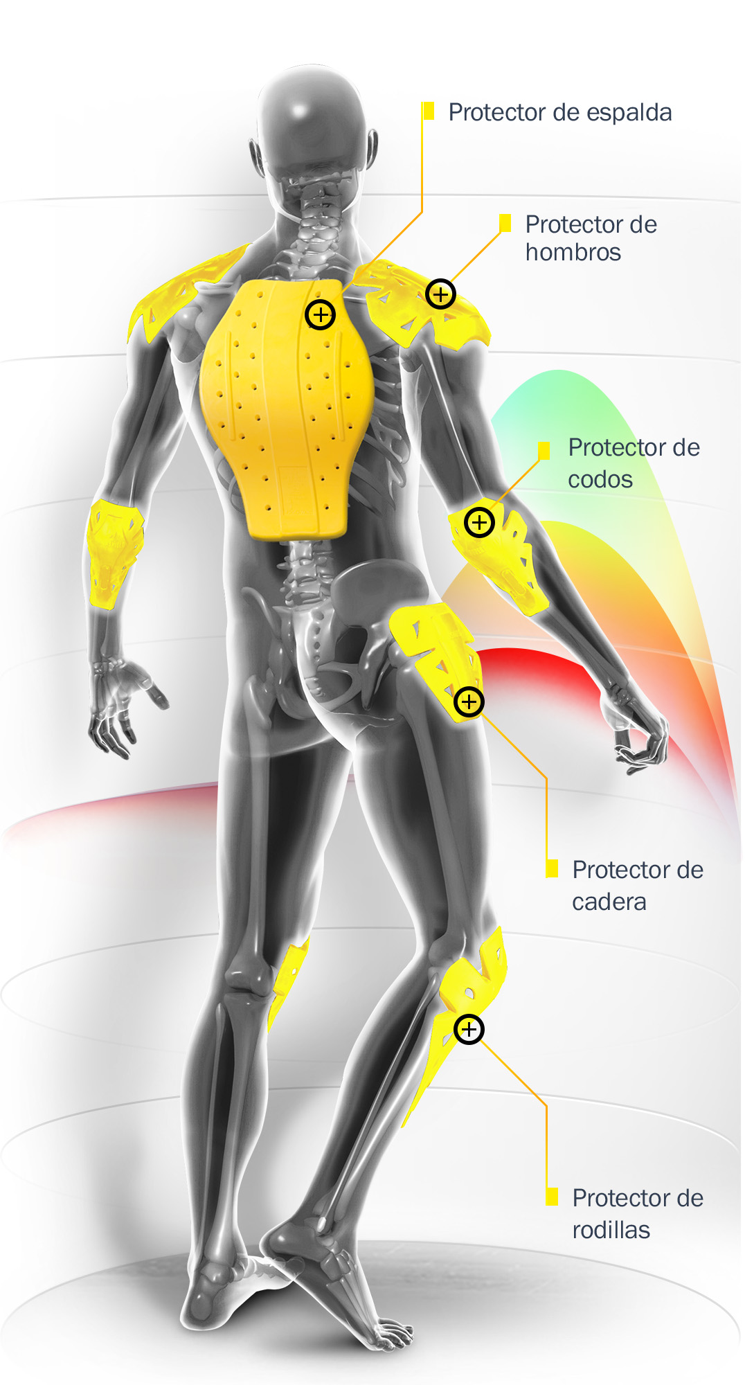 Infografía - Protectores