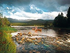 Cairngorms