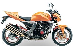 Kawasaki Z 1000 (2003–2006)