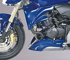 Honda CB 600 F Hornet
