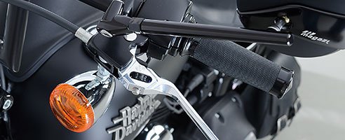 harley-davidson dyna street bob louis special conversion