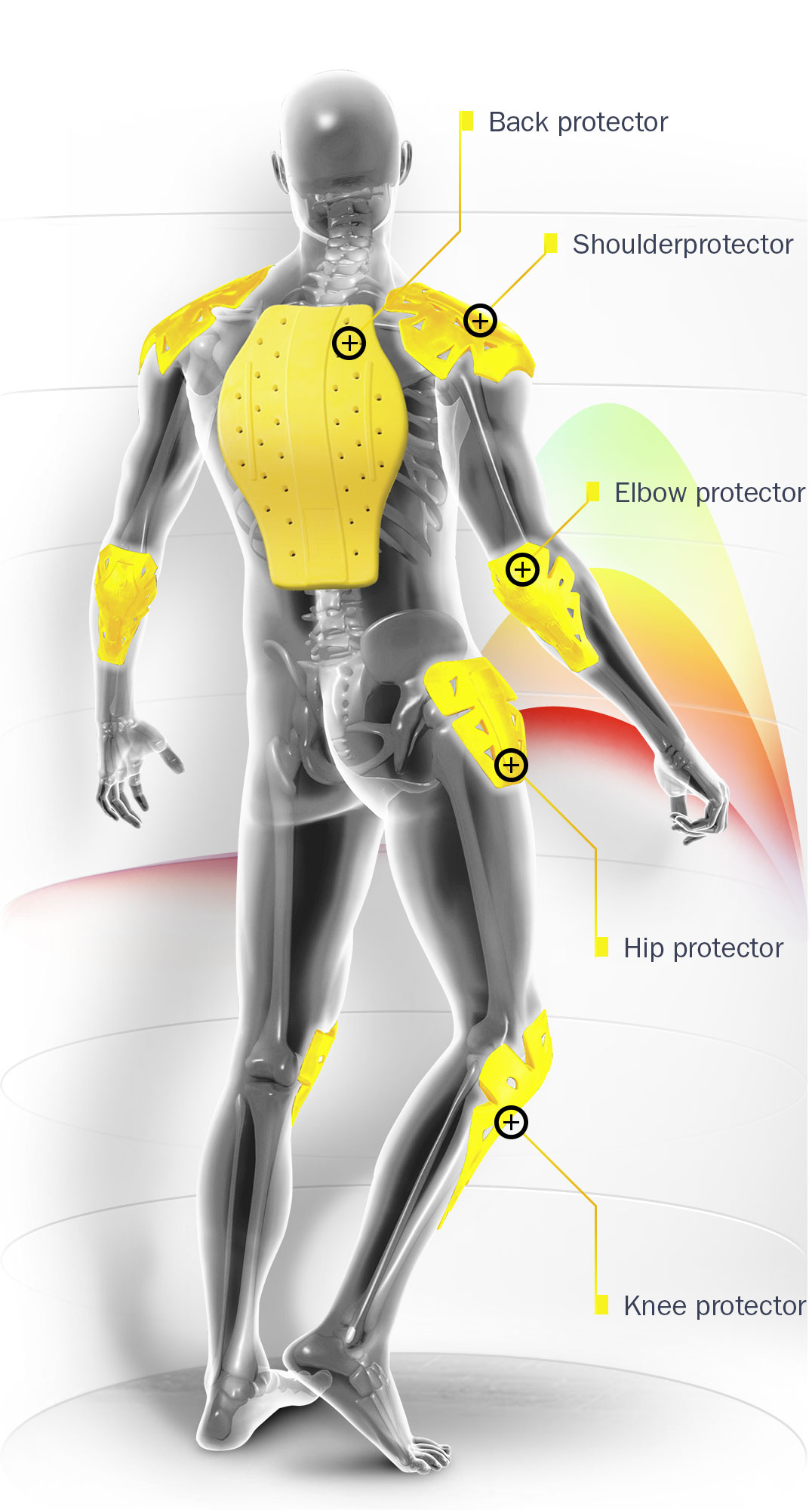 Infografik - Protectors