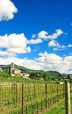 Italien: Kultur rund um den Gardasee