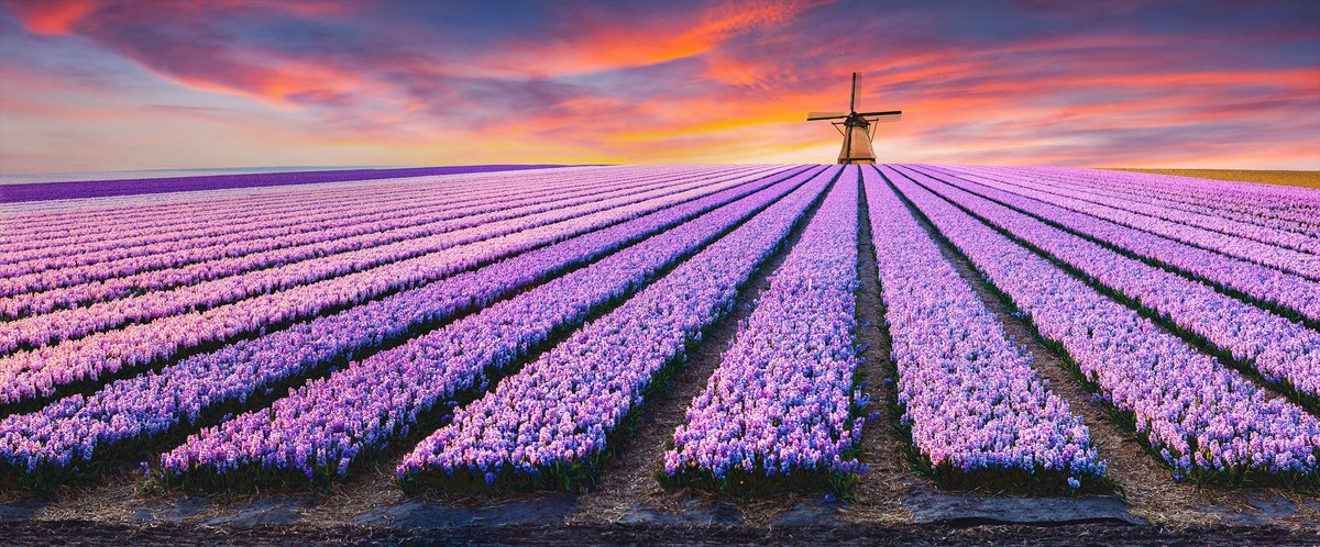 Ländertipps Niederlande