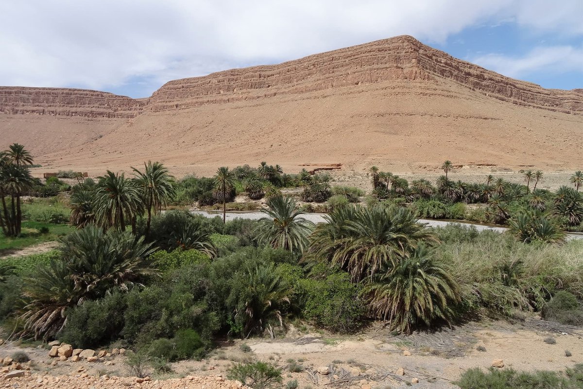 Flussoase am Oued Ziz