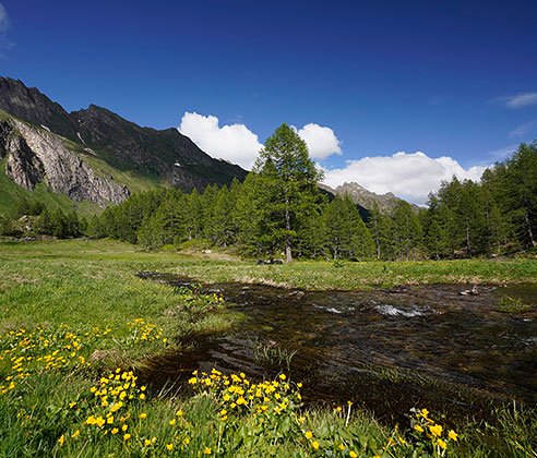 Tour de Tessin