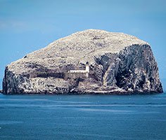 Bass Rock