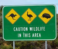 Australien – Perth – Darwin Motorrad Tour