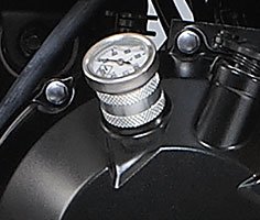 kawasaki z 1000 louis special conversion
