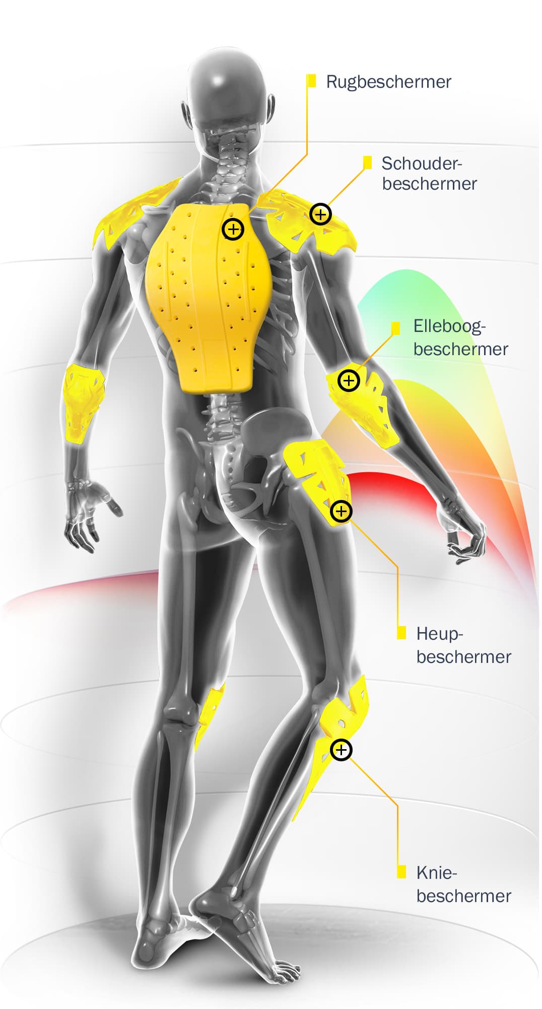 Infografik - Protektoren