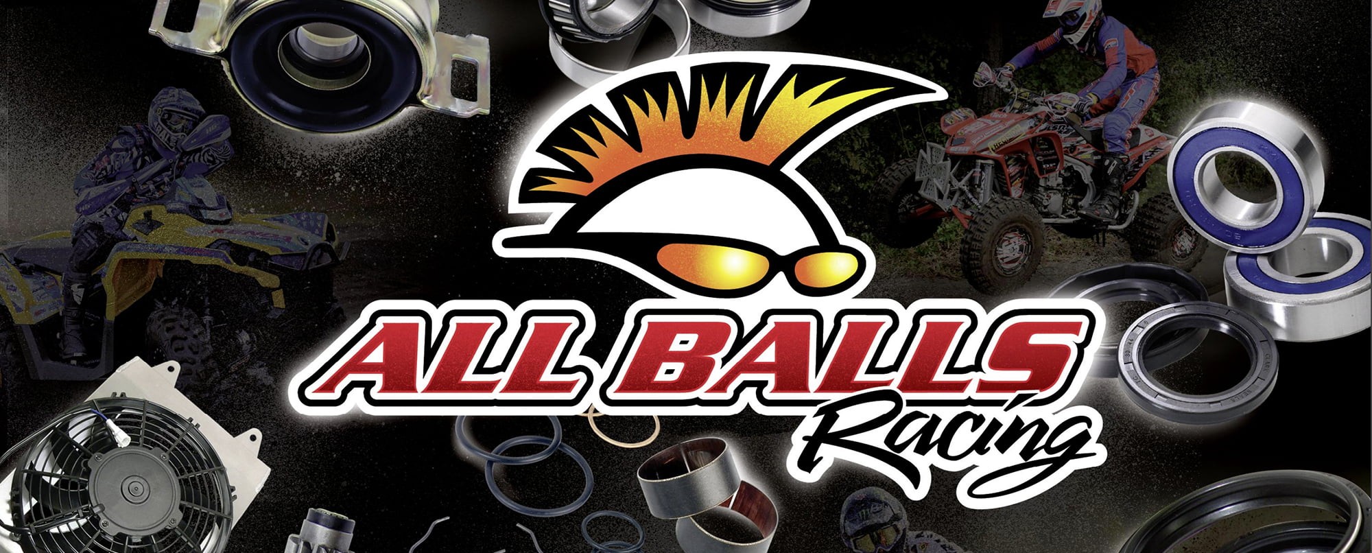 All Balls Racing