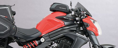 kawasaki er-6n louis special conversion