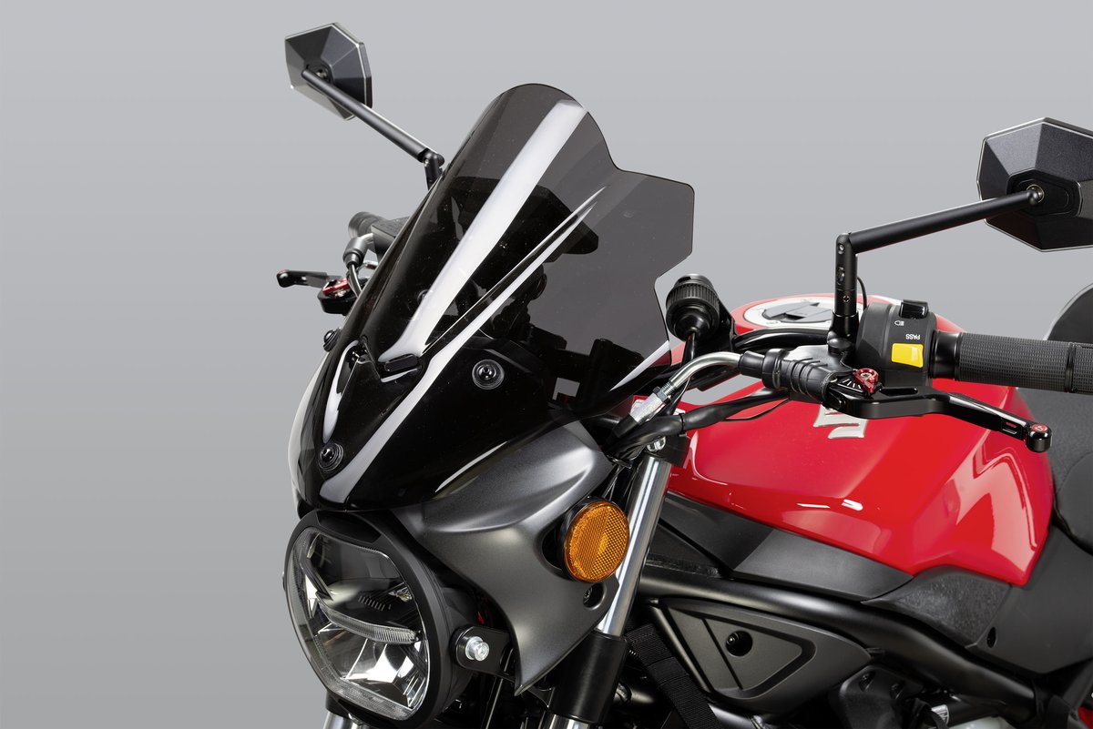 suzuki sv650 panniers